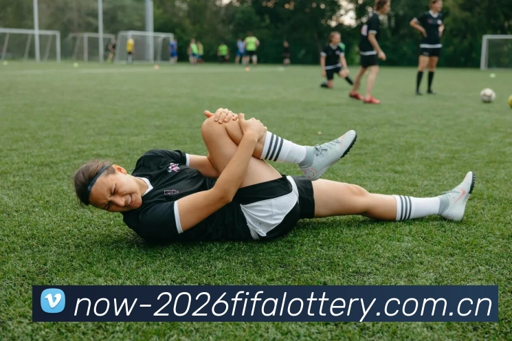 FIFA官方彩票数据授权证书